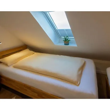 Seestern نوردين