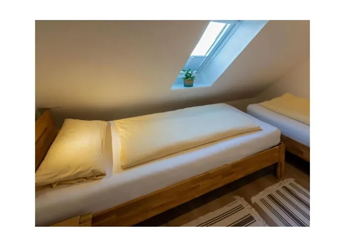 Seestern * نوردين